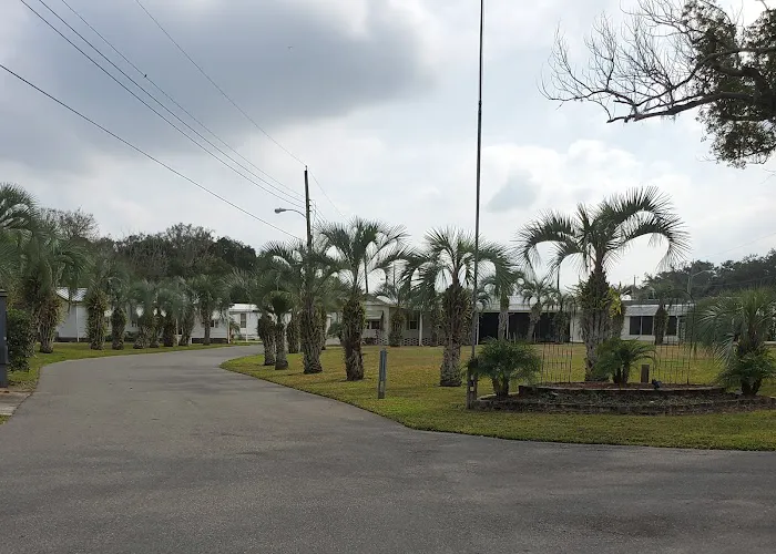 Paradise Palms 4