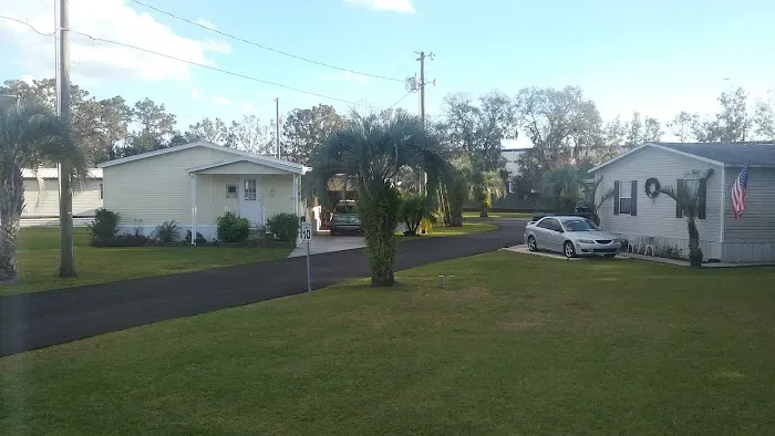 Paradise Palms 8