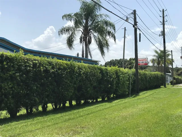 Shangri La 8