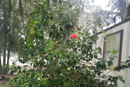 Lone Oaks Mobile Home Park