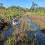 Wood Duck Camp