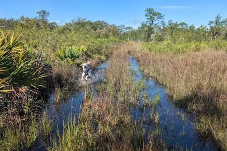 Wood Duck Camp