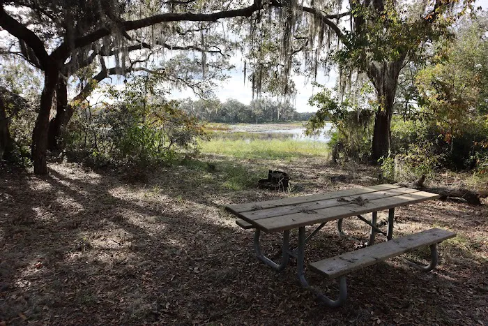 Wood Duck Camp 3