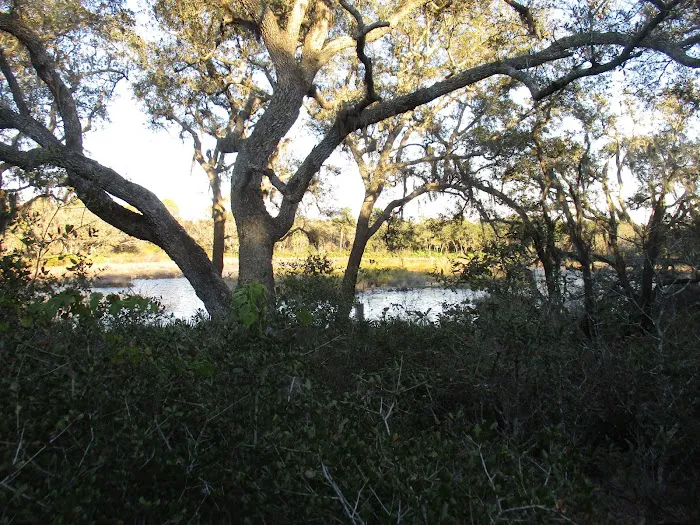 Wood Duck Camp 10