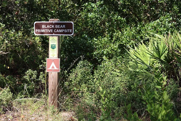 Black Bear Campsite 3