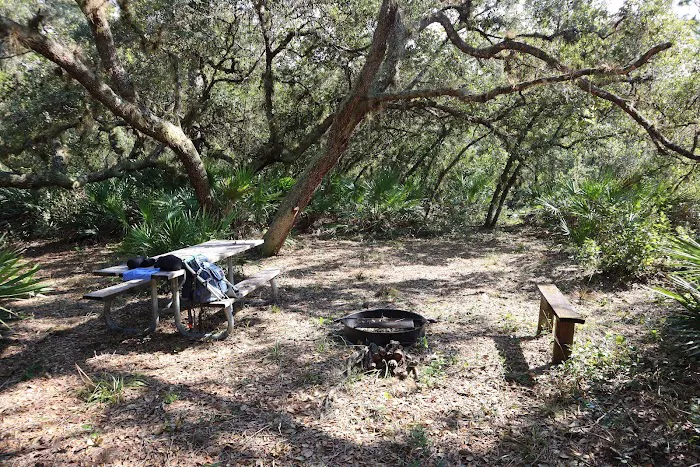 Black Bear Campsite 2