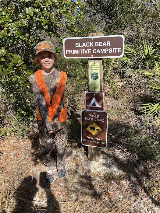 Black Bear Campsite 5
