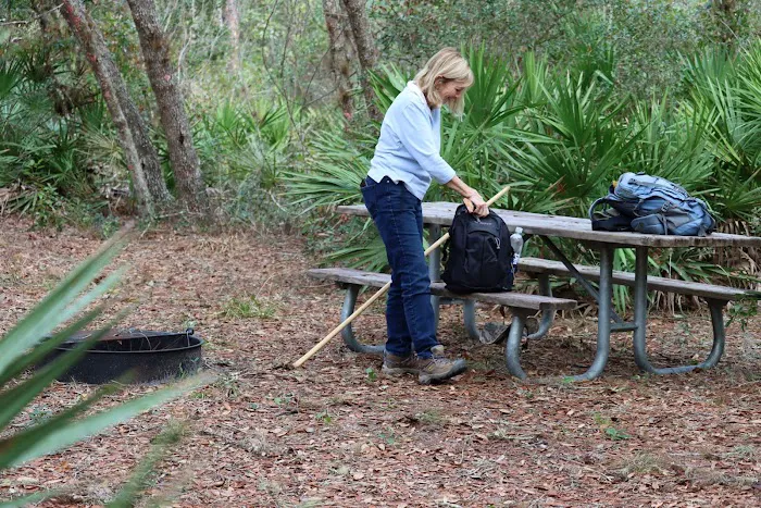 Black Bear Campsite 4