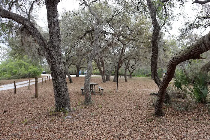 Walk in Water Campground 3
