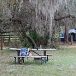 Walk in Water Campground