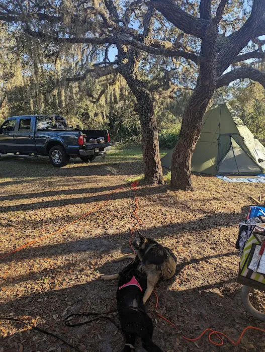 Walk in Water Campground 6