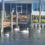 Lake Seminole Resort