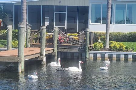 Lake Seminole Resort