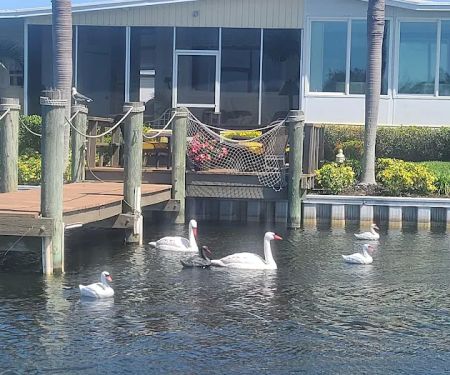 Lake Seminole Resort