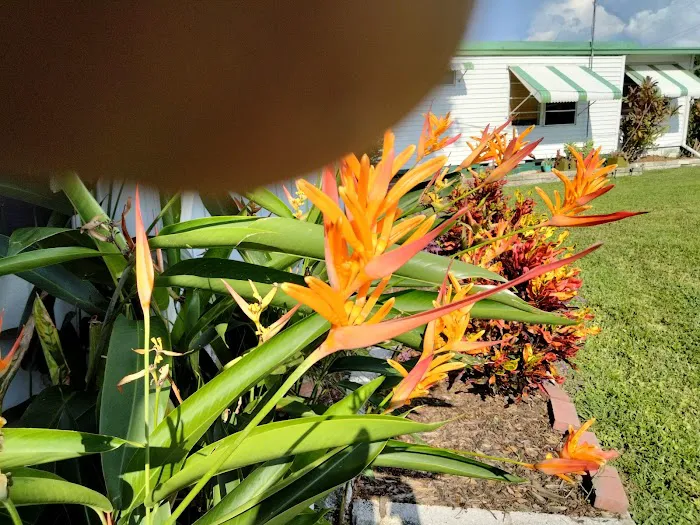 Cardinal Court Mobile Home Park 4