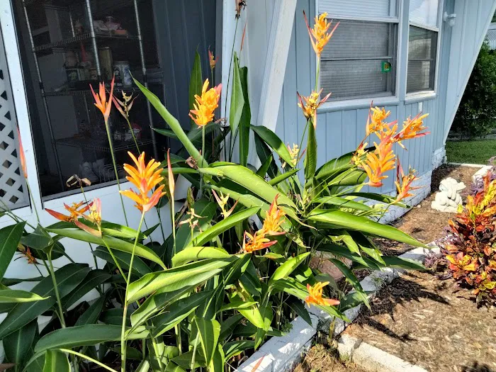 Cardinal Court Mobile Home Park 10