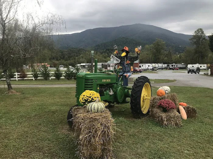 Cove Mountain RV Resort Picture 8