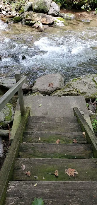 Curtis Creek Campground 1