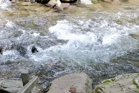 Curtis Creek Campground