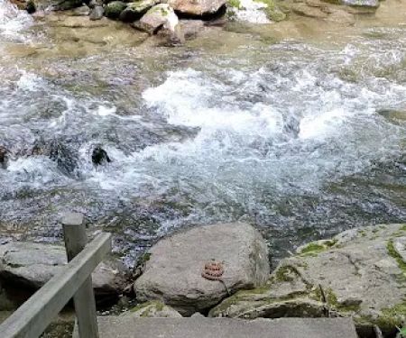 Curtis Creek Campground