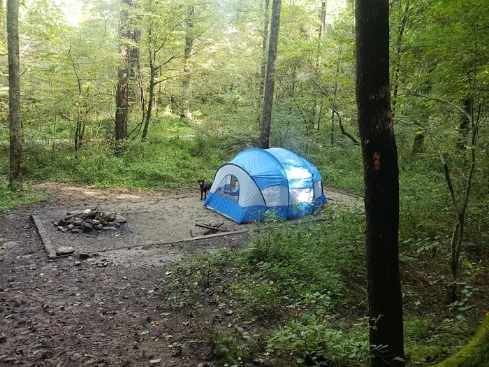 Curtis Creek Campground 2