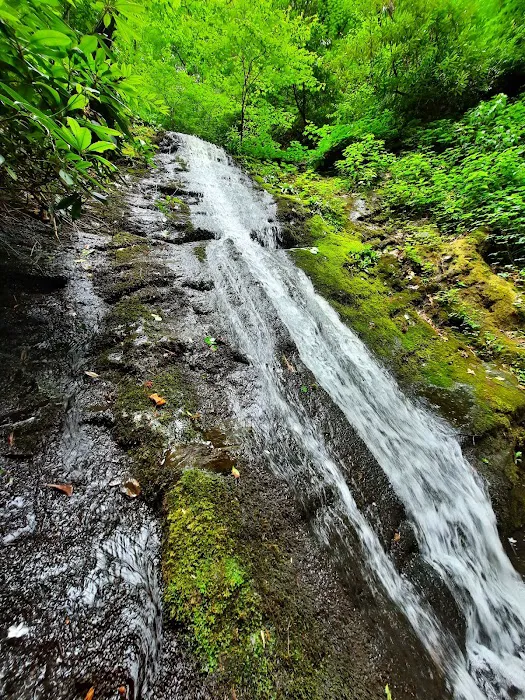 Curtis Creek Campground 3