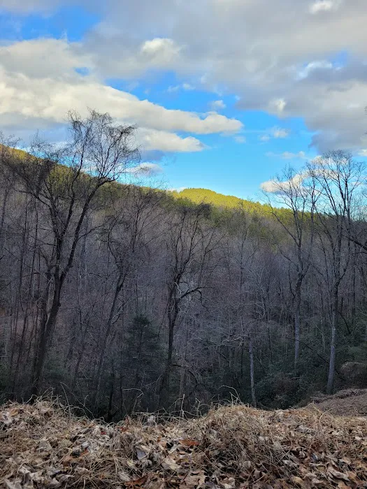 Curtis Creek Campground 7