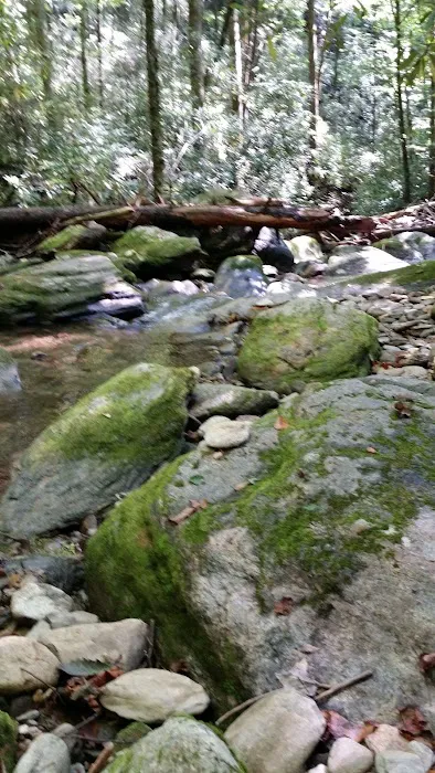 Curtis Creek Campground 5