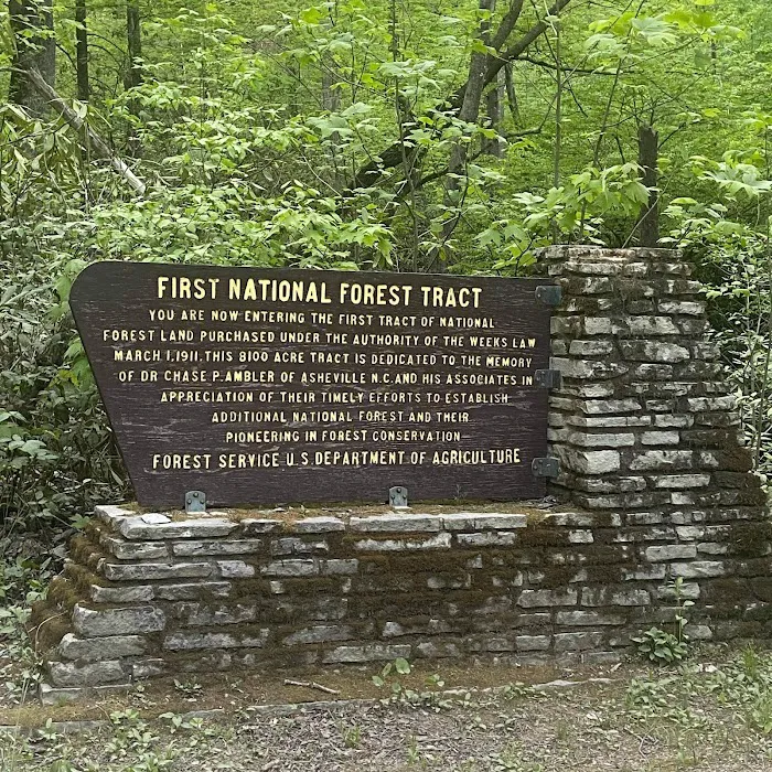 Curtis Creek Campground 6