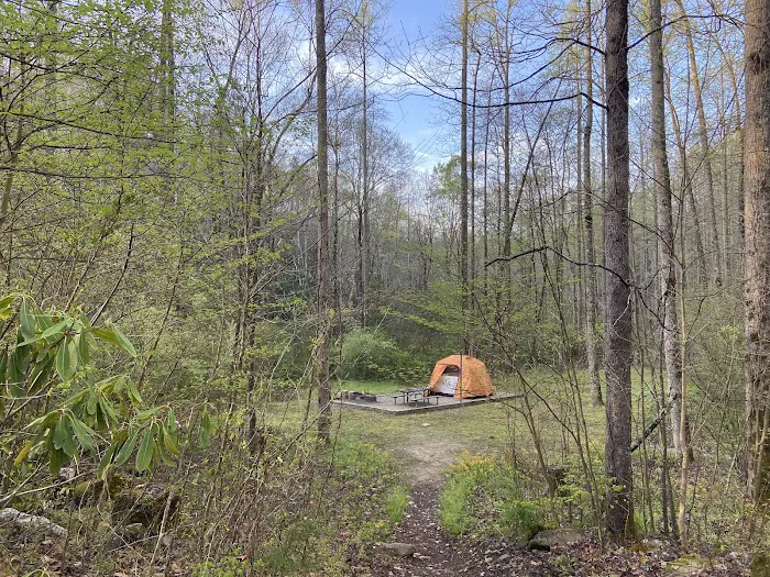 Curtis Creek Campground 10