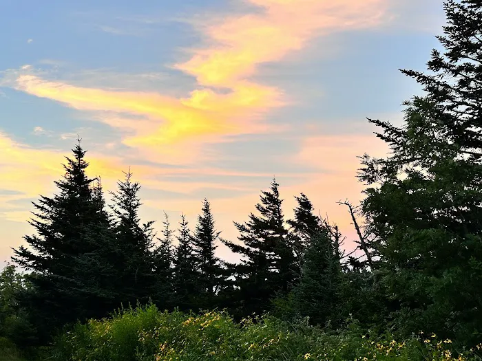 Mt. Mitchell Campground 2