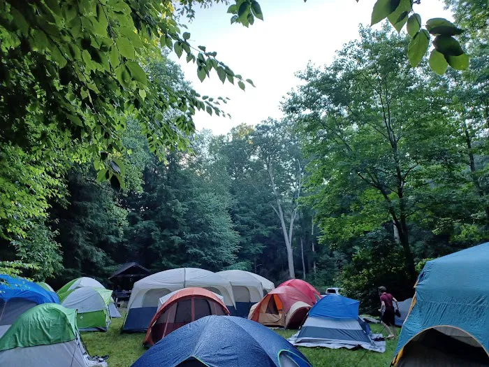 Mt. Mitchell Campground 8