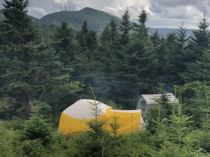 Mt. Mitchell Campground 6
