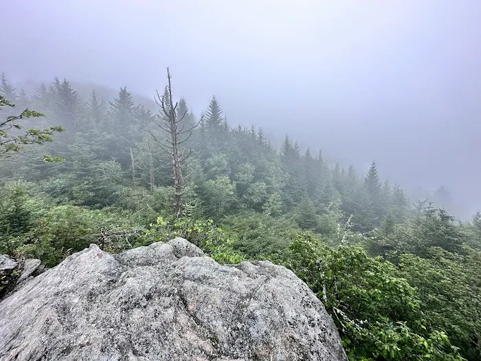Mt. Mitchell Campground 7