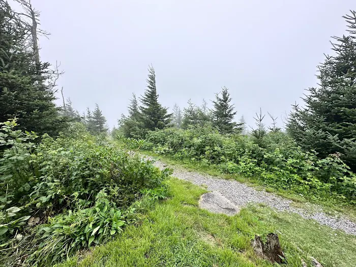 Mt. Mitchell Campground 10