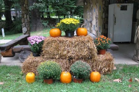 Black Mountain Campground/Briar Bottom Group Campground