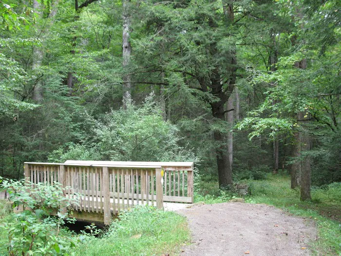 Black Mountain Campground/Briar Bottom Group Campground 4