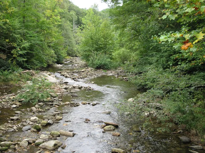 Black Mountain Campground/Briar Bottom Group Campground 7