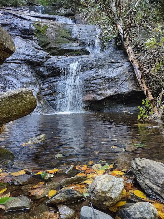 Black Mountain Campground/Briar Bottom Group Campground 8