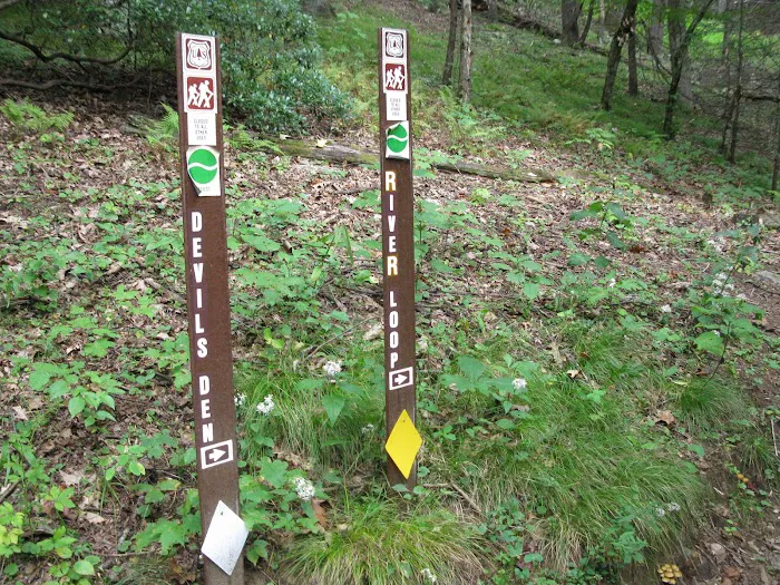 Black Mountain Campground/Briar Bottom Group Campground 5