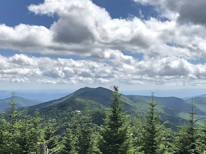 Black Mountain Campground/Briar Bottom Group Campground 10