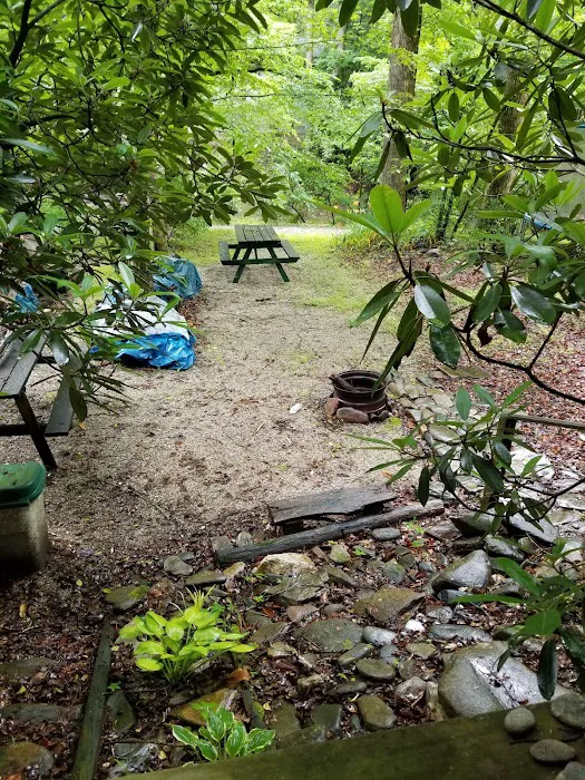 Triple C Campground 1