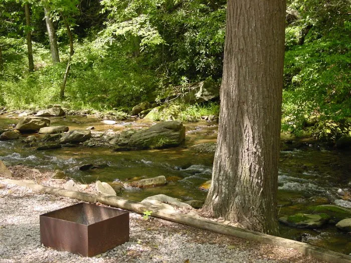 Mountain Stream RV Park 3