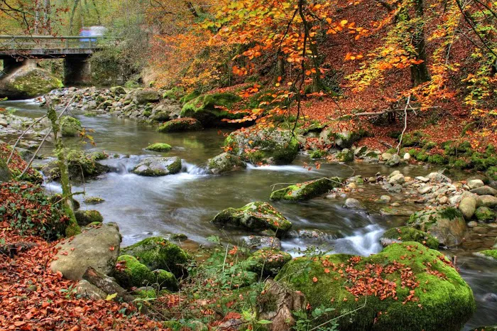 Mountain Stream RV Park 5