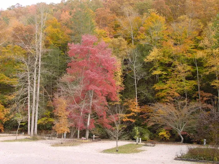 Mountain Stream RV Park 4