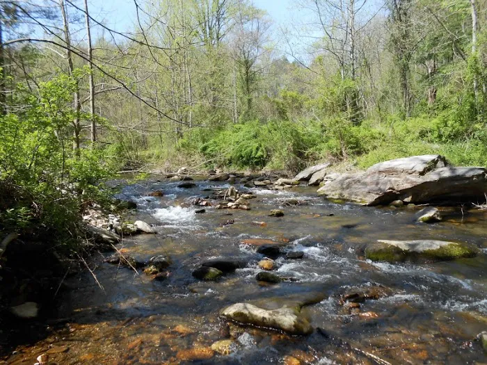Mountain Stream RV Park 8