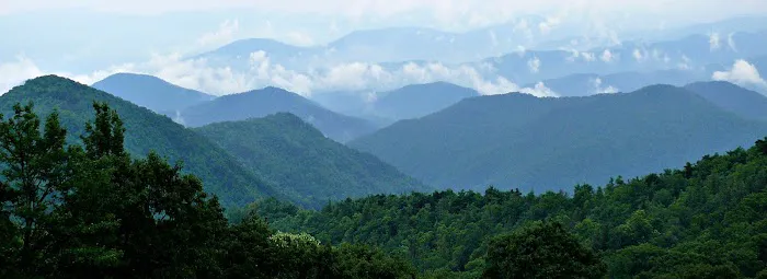 Mountain Stream RV Park 10