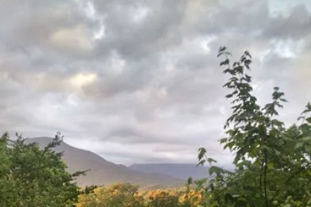 UT Biology Field Station