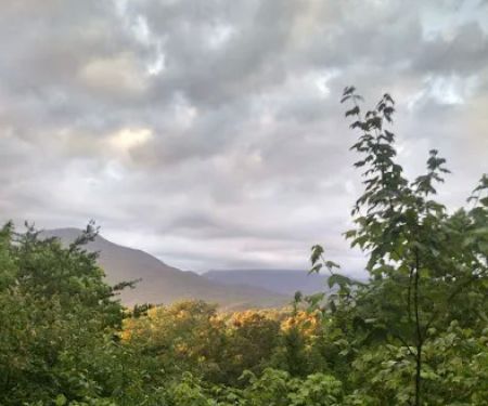 UT Biology Field Station