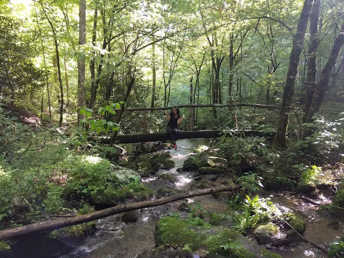 UT Biology Field Station 2